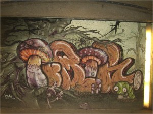 Graffiti-Unterführung_Pilze_KB_14.06.13