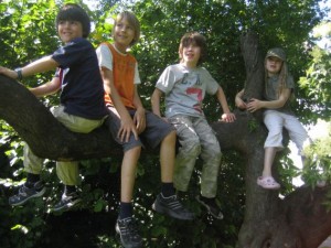 23 Benedikt, Flo, Korbinian und Sonja auf dem Baum nah (Redlingerplatz)