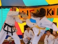 Weltkindertag2016_Buehne_Taekwondo_02