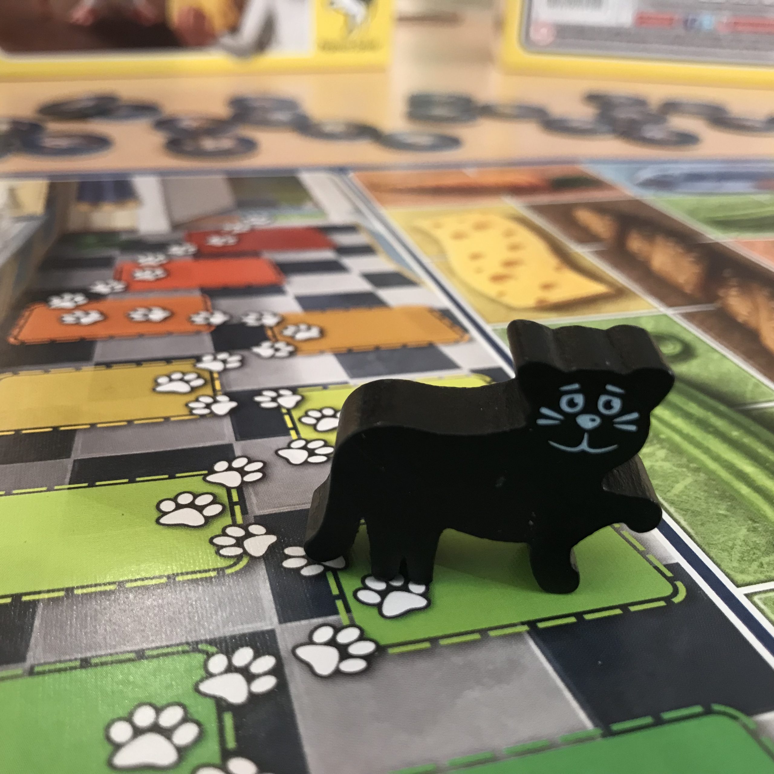 Info & Aktion: Spannend, spaßig, spielversprechend