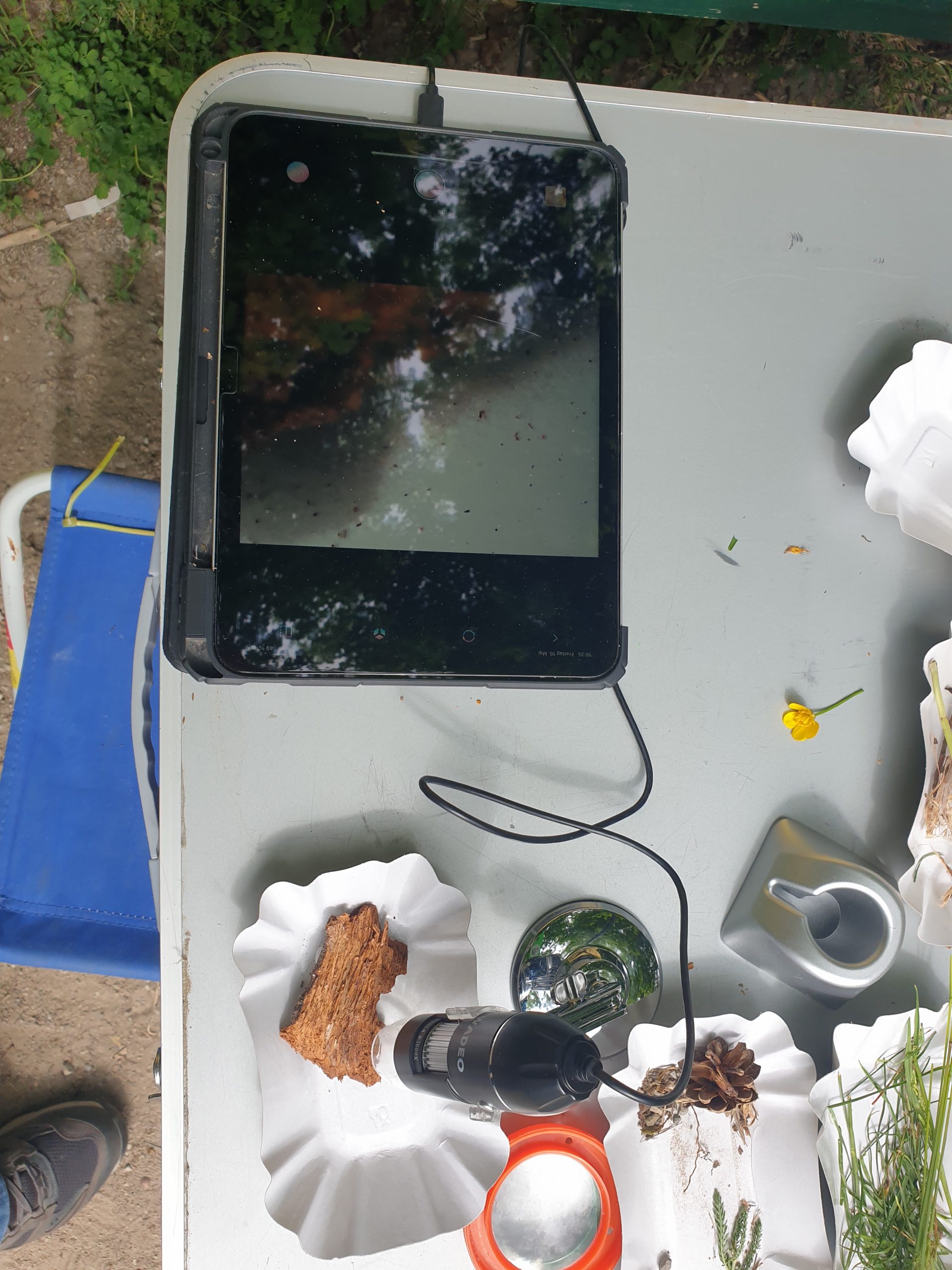 Waldnasen - Erlebe und erforsche die Natur!