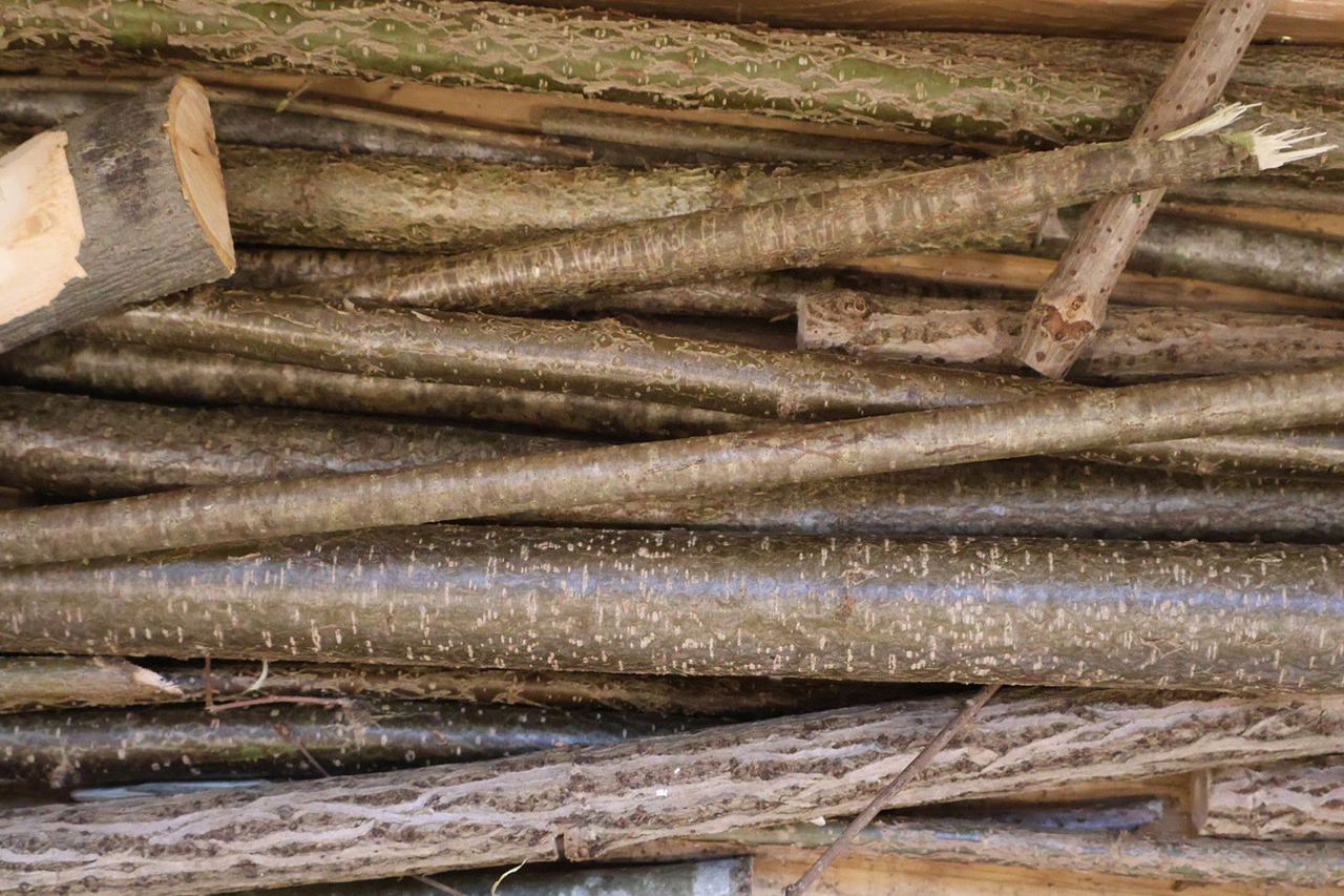 Grünholzwerkstatt mit Weidenhölzern