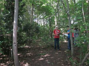 8b_Zamilapark_schleichpfad_zum Skateplatz