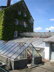 Flemingstr_Gaertnerei-Neumann