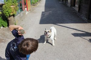 Jackson beim Ball spielen