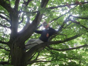 Kletterbaum am Kuntersweg