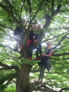Die Forscher probieren den Kletterbaum aus