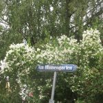 Am Blumengarten