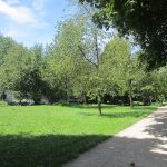 SP Bodenehr Wiese