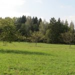 Streuobstwiese